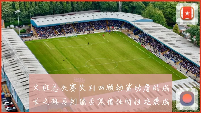 文班总决赛失利回顾幼鲨幼詹的成长之路马刺能否凭借独特性逆袭成功